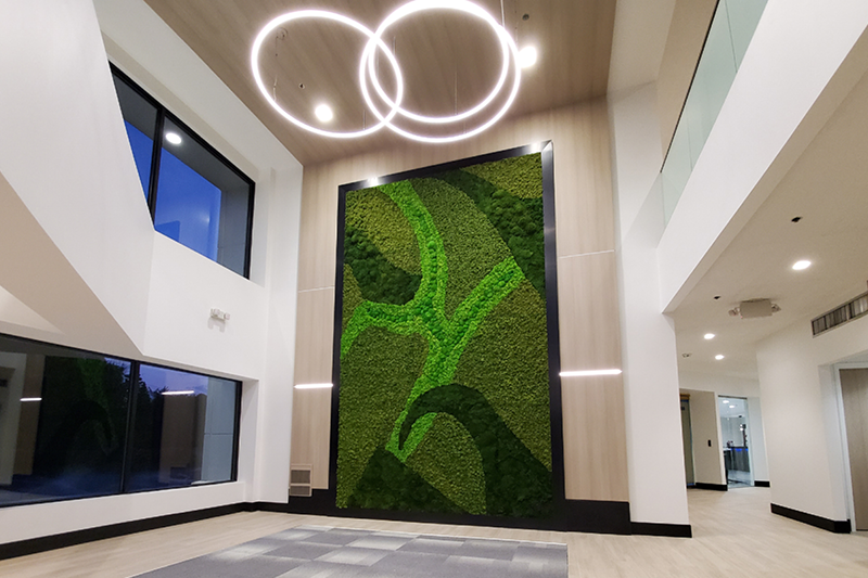 Corporate Office Two Story Moss Wall