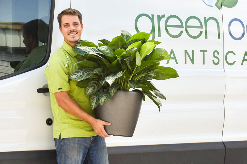 How professional indoor plant services help businesses in Texas