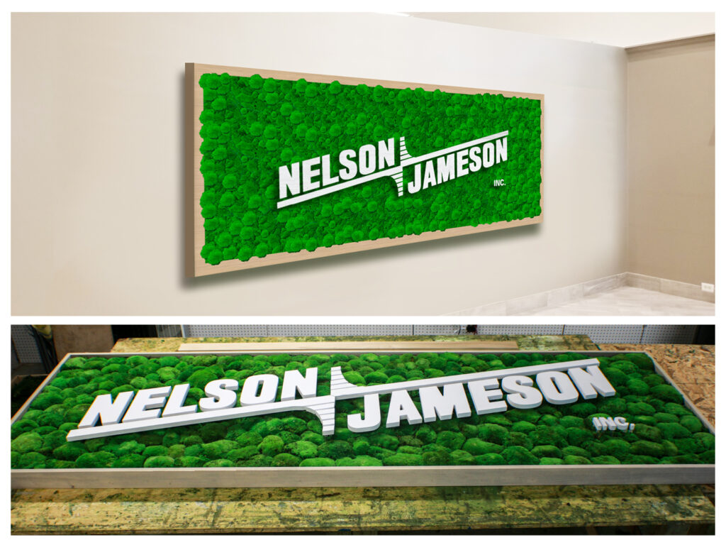 Green Oasis BNI Nelson James before After