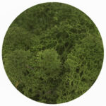 forest green moss