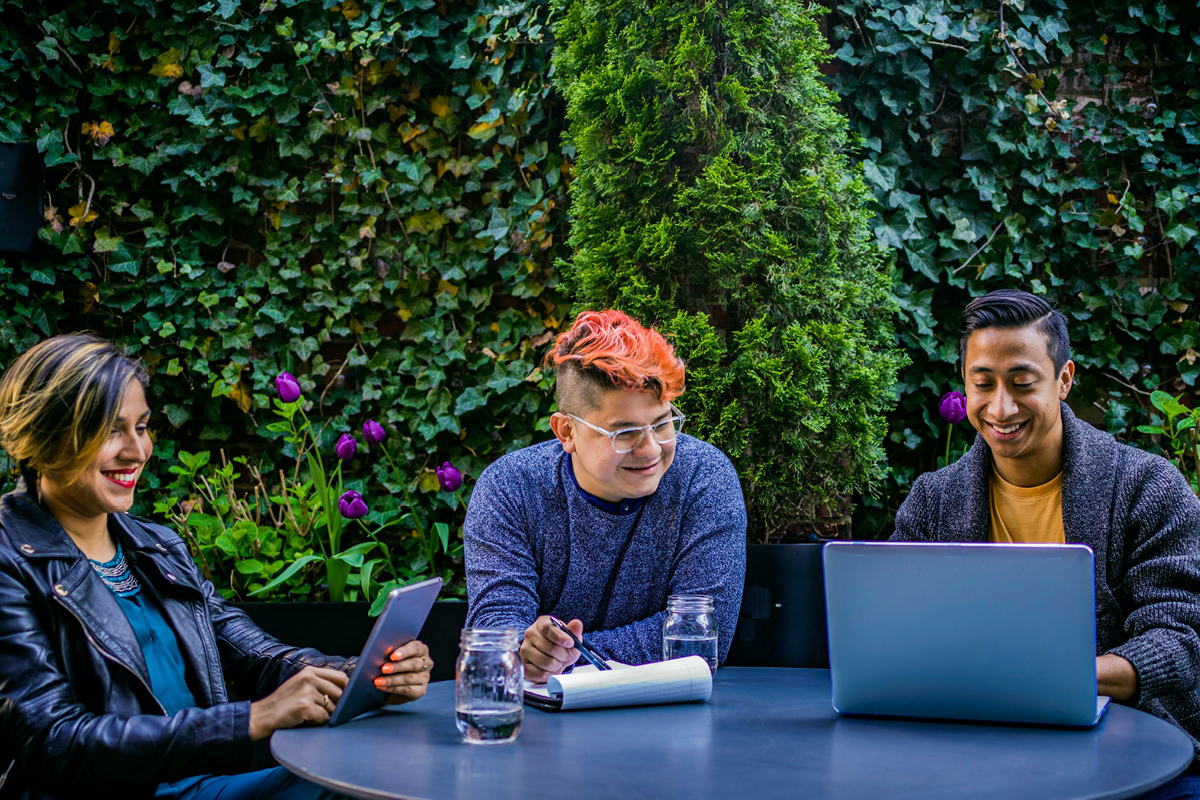 Indoor Living Plant Wall