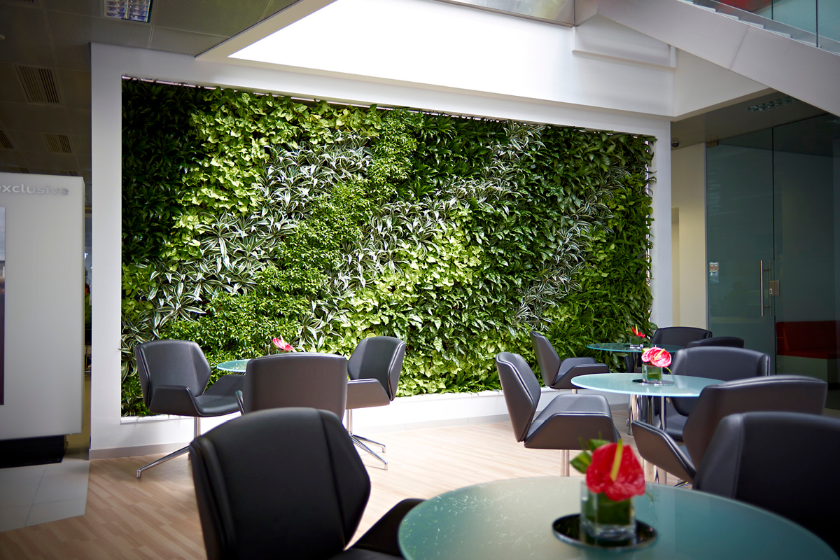 Living plant walls in an Office