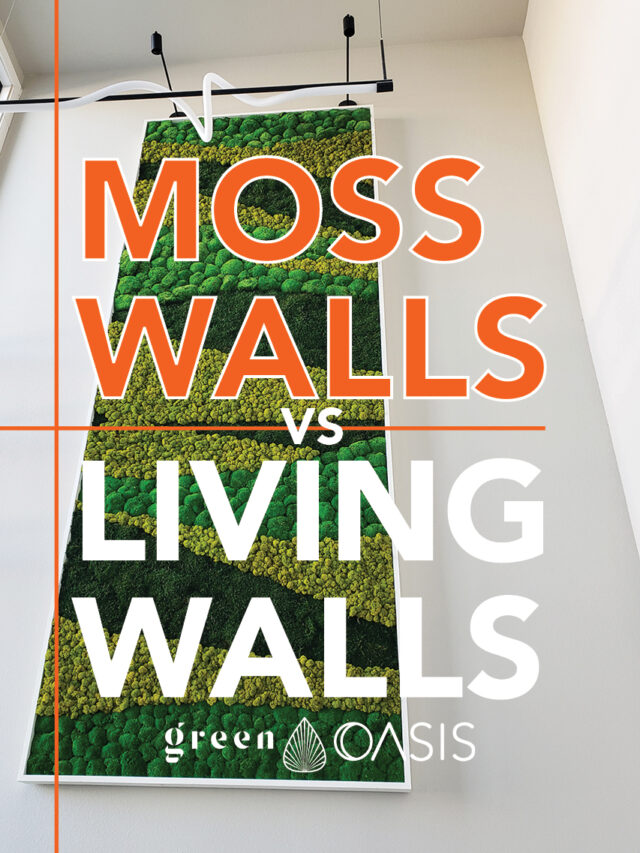 Moss Walls vs Living Walls