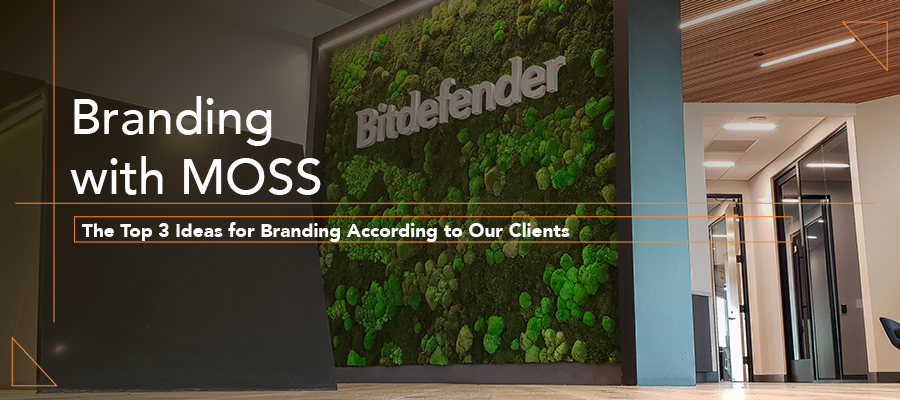 Green Oasis branding with moss