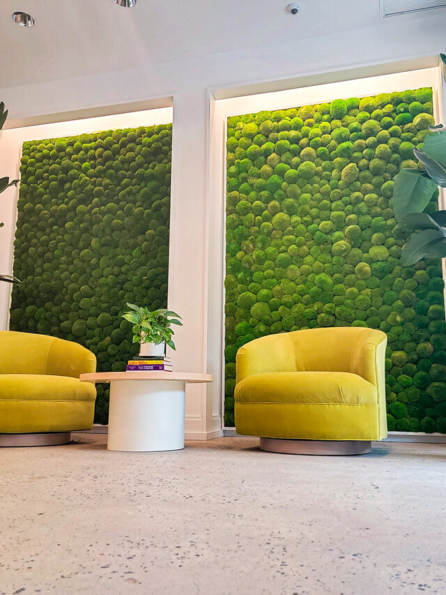 The Cost of a Moss Wall