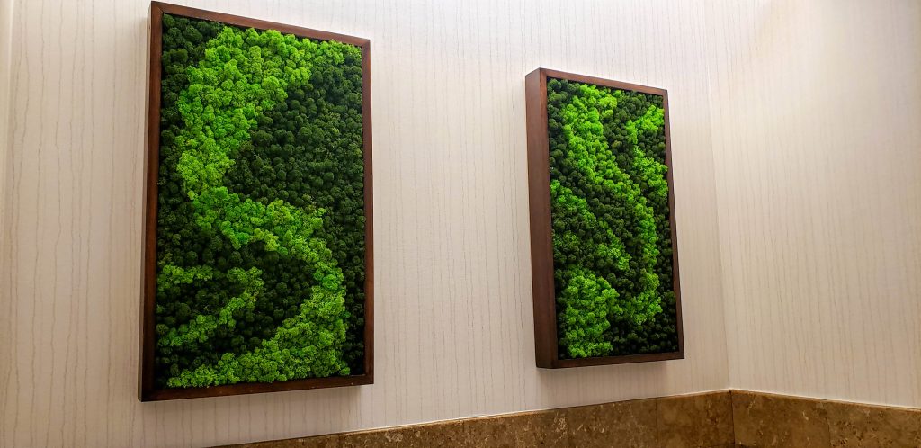 substrates -framed moss designs - two panels