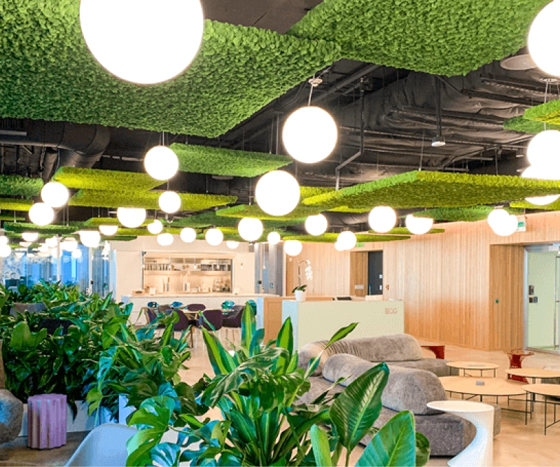 green oasis moss applications ceilings