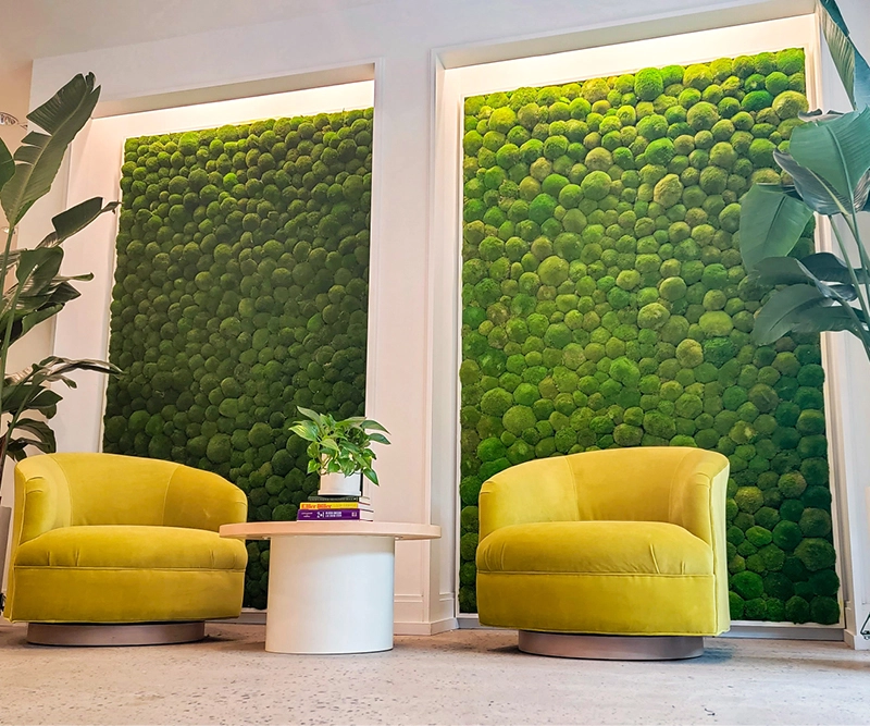 green oasis moss applications full wall