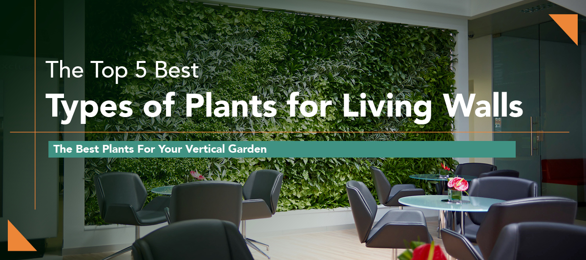Green Oasis plant types for living wall blog header