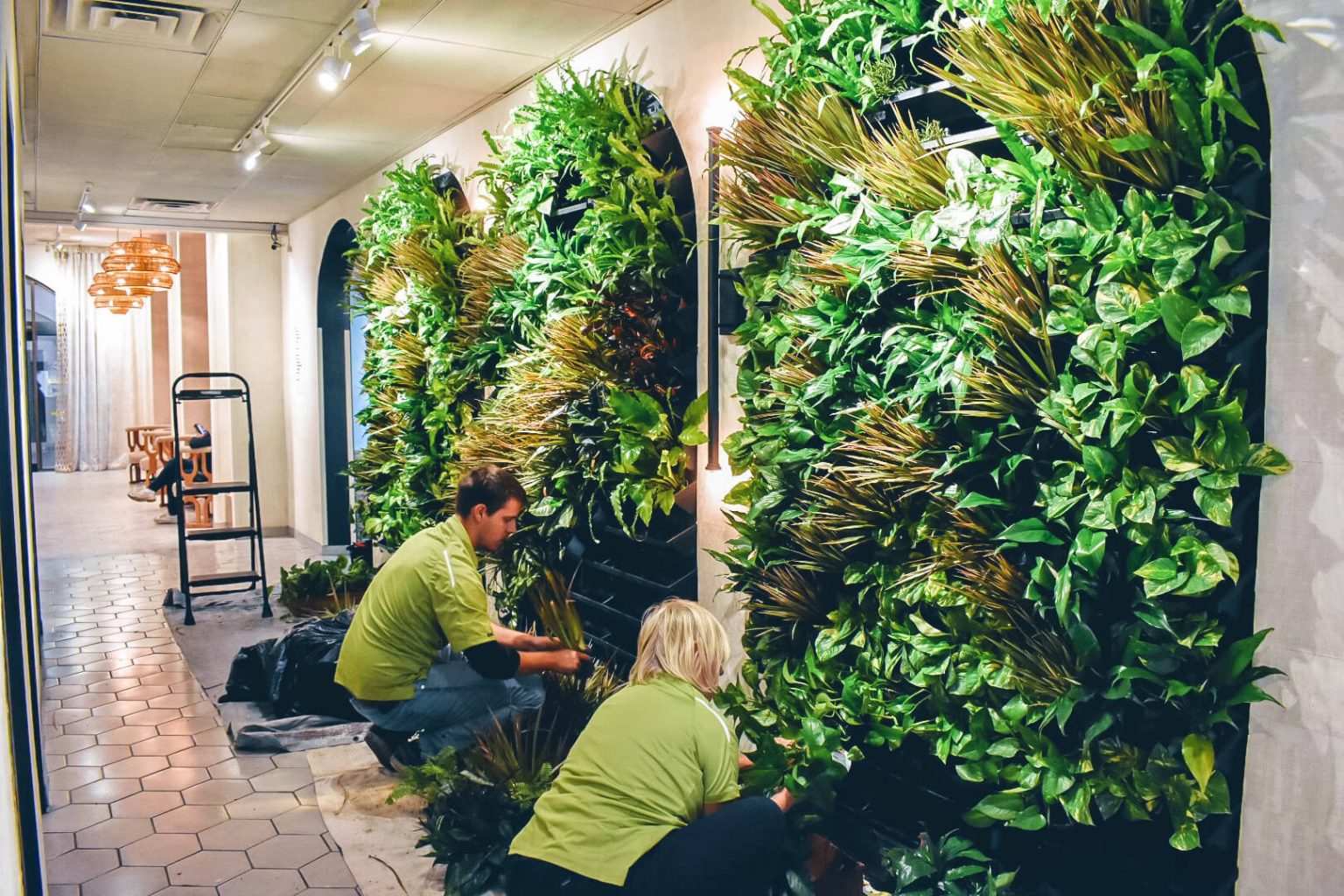 Green Oasis Techs Live Wall