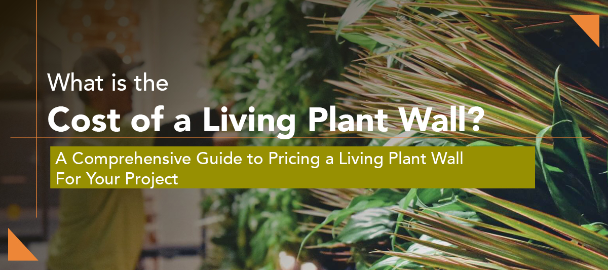 cost of a living plant wall
