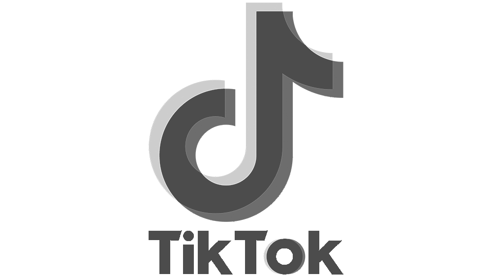 TikTok Logo grey