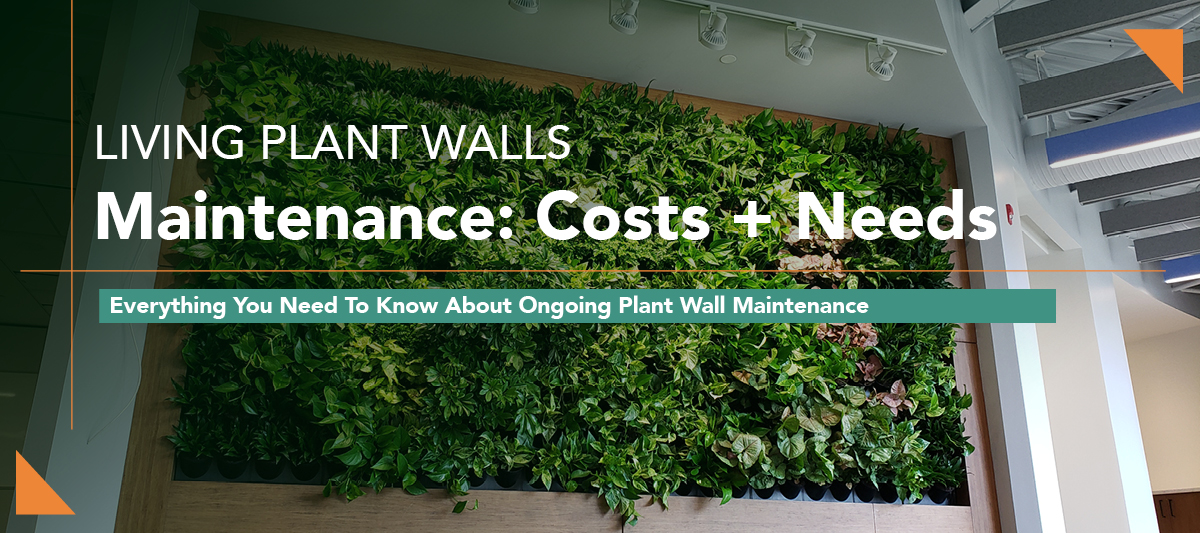 Green Oasis Living Plant Wall Maintenance blog header