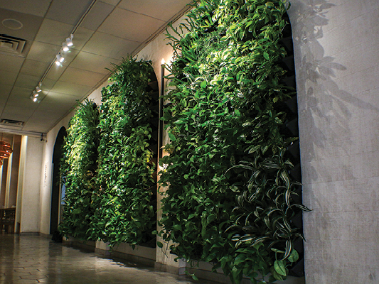 Living Wall Applications ambience