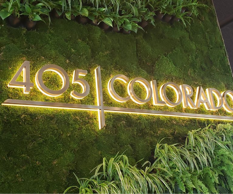 Moss Color Guide | Green Oasis