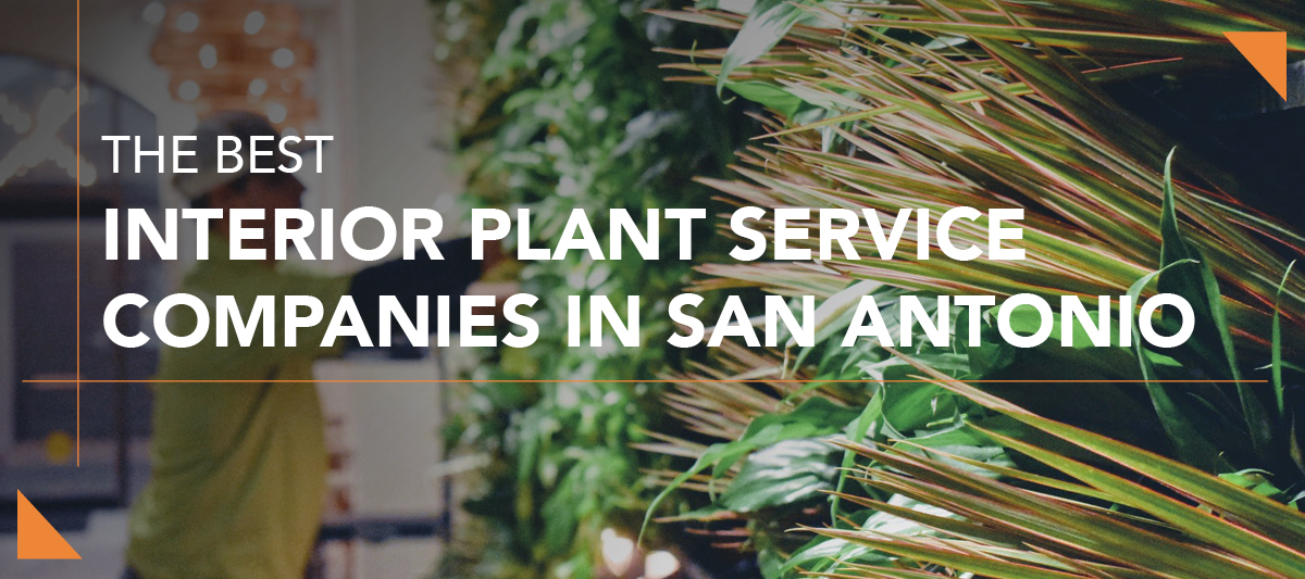 Green Oasis Best Plant Services companies blog header