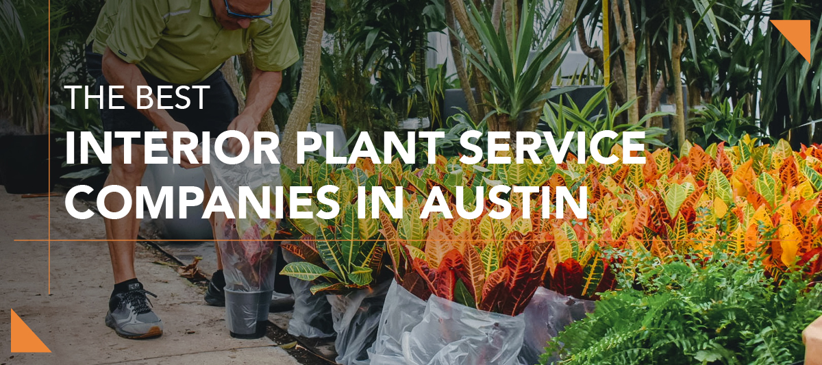 Green Oasis Best Plant Services companies blog header2