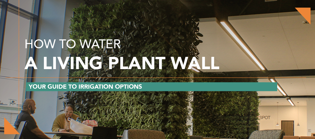 Green Oasis Living Plant Wall Irrigation blog header