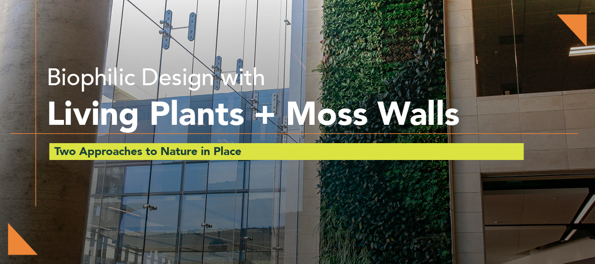 Biophilic Design Plants Moss blog header