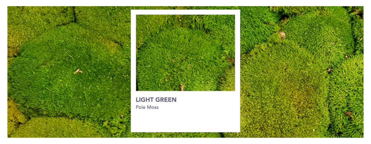 pole moss light green