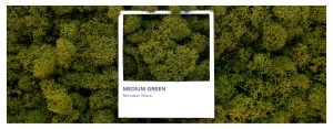 Moss Color Guide | Green Oasis