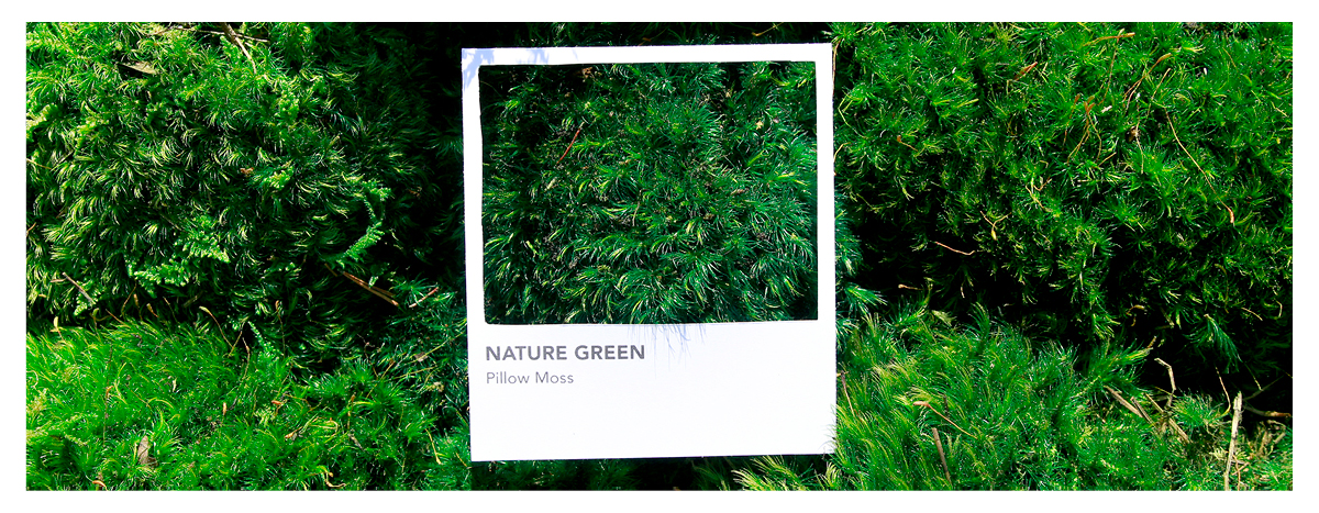 Nature Green Pillow Moss