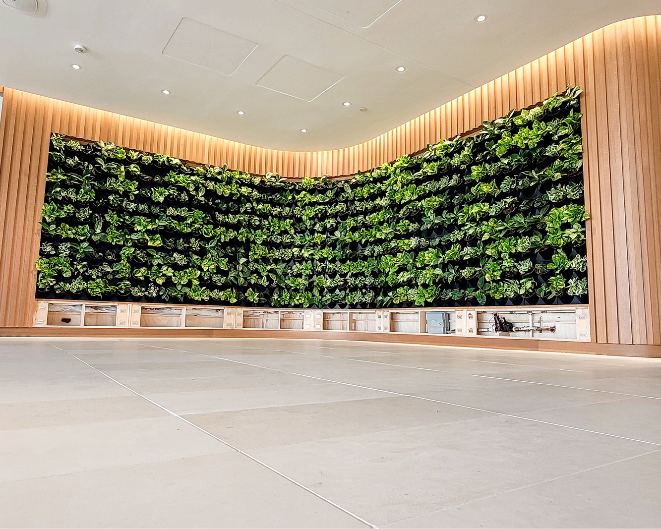 Indoor green walls  Wall covering  Archello