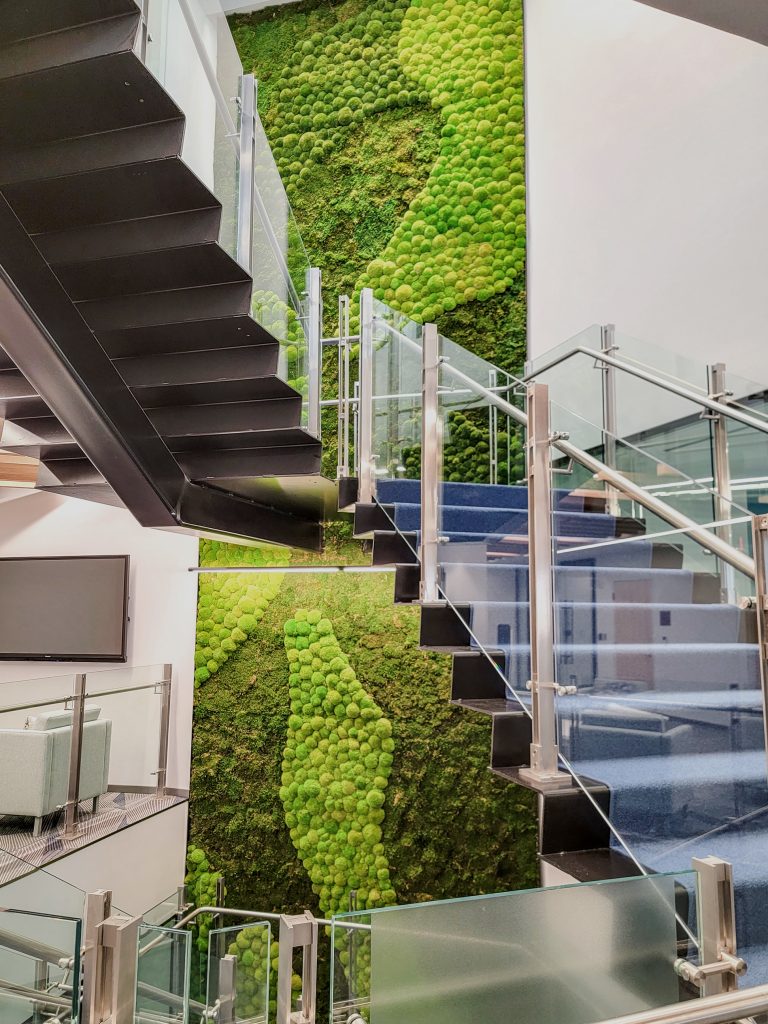 multi story moss wall indoors