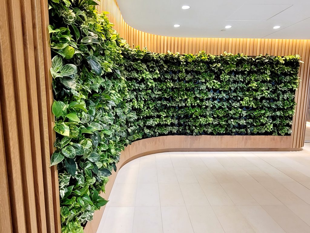 Curved living plant wall side profile green oasis