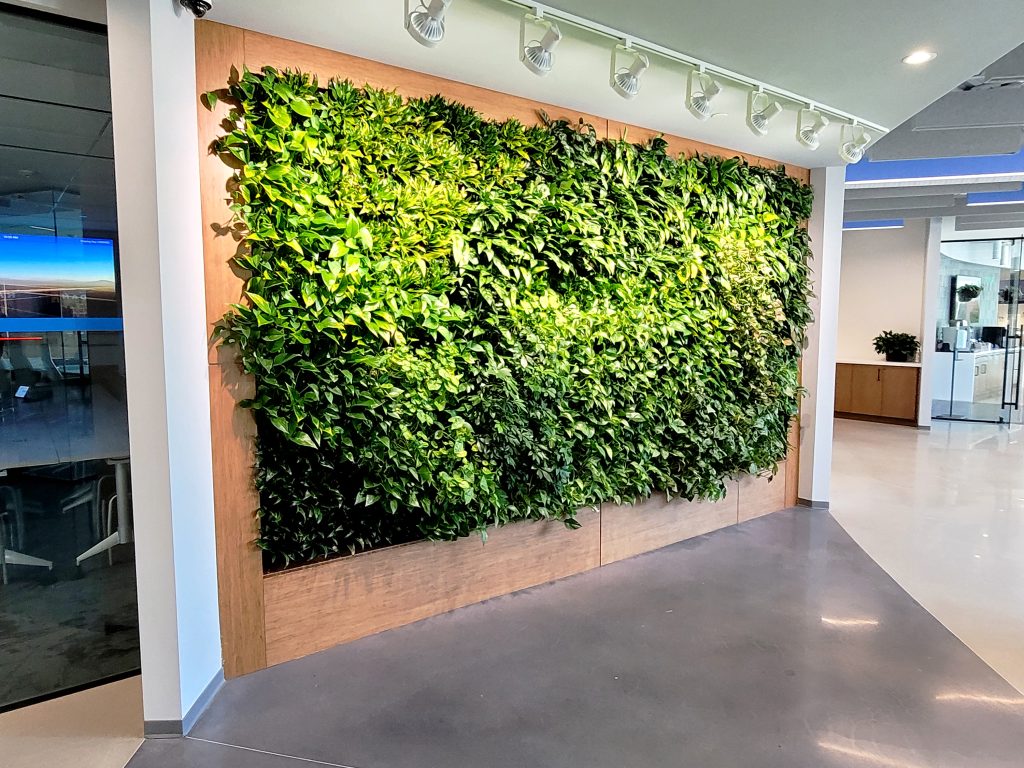 indoor living plant wall corporate office