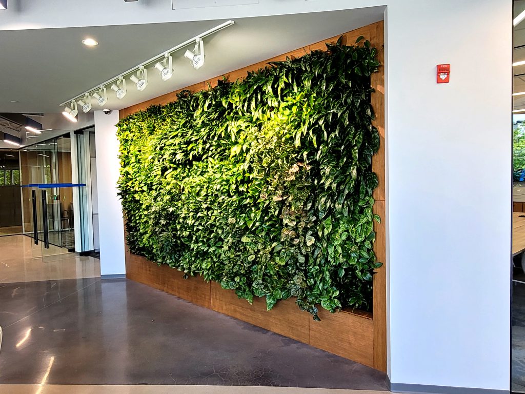 Hannon Armstrong Living Wall Project | Green Oasis