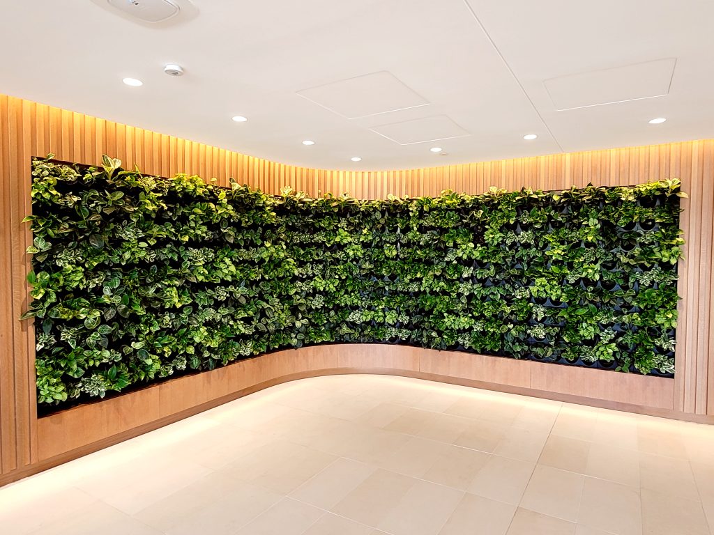 curved living plant wall using the POD system