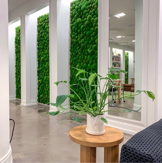 Potted plant in seating area in front of acoustic moss wall panels