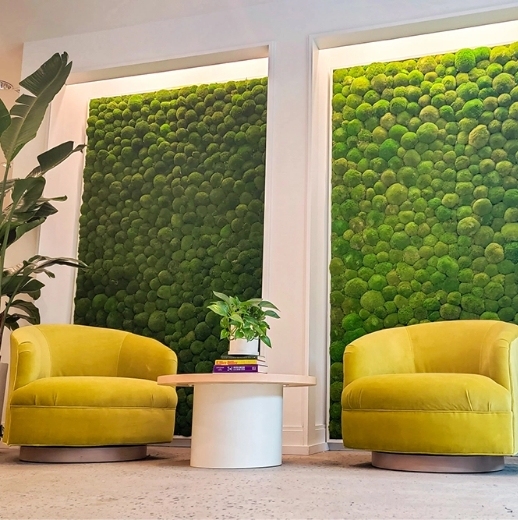 Two chairs in front of moss acoustic panels