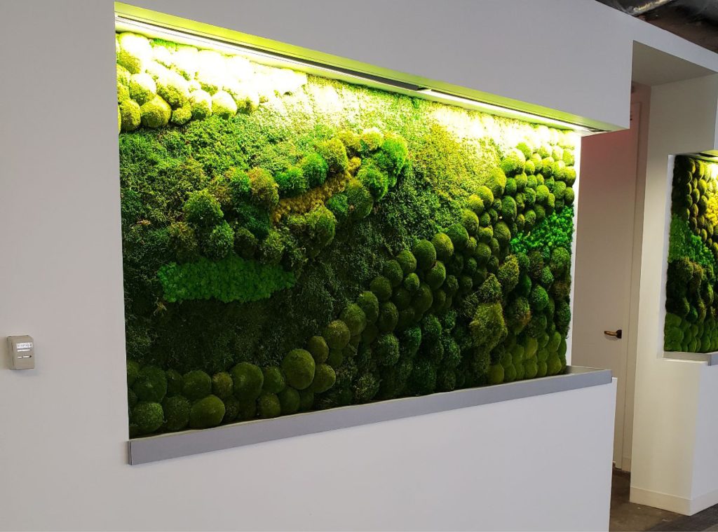 Green Oasis Moss Wall projects 202314