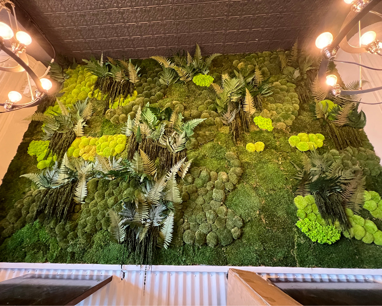 Patterns in Nature Preserved Moss Wall - 100% Real and Maintenance-f –  Austin Moss Creations