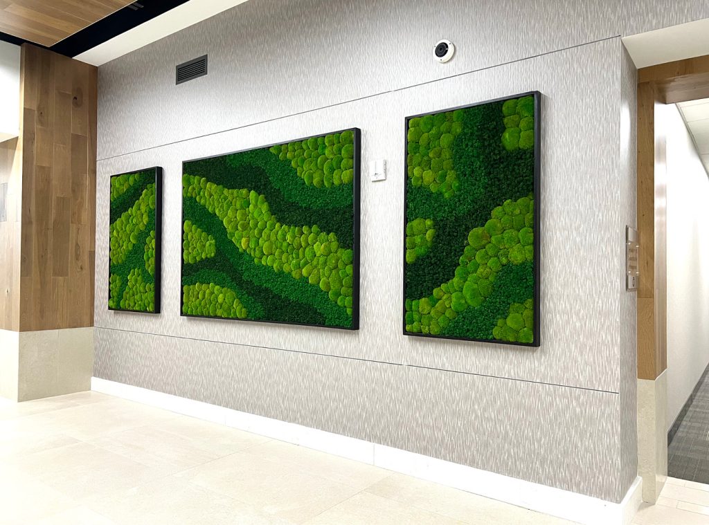Green Oasis Moss Wall projects 20247