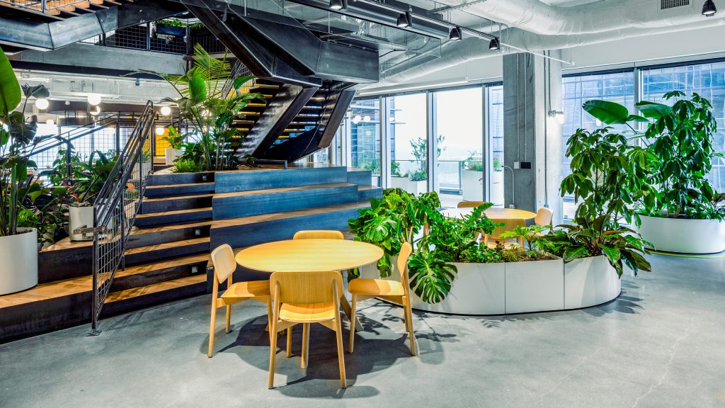 Live Plants inside of a vast office space at the bottom of a stairwell also covered with live plants