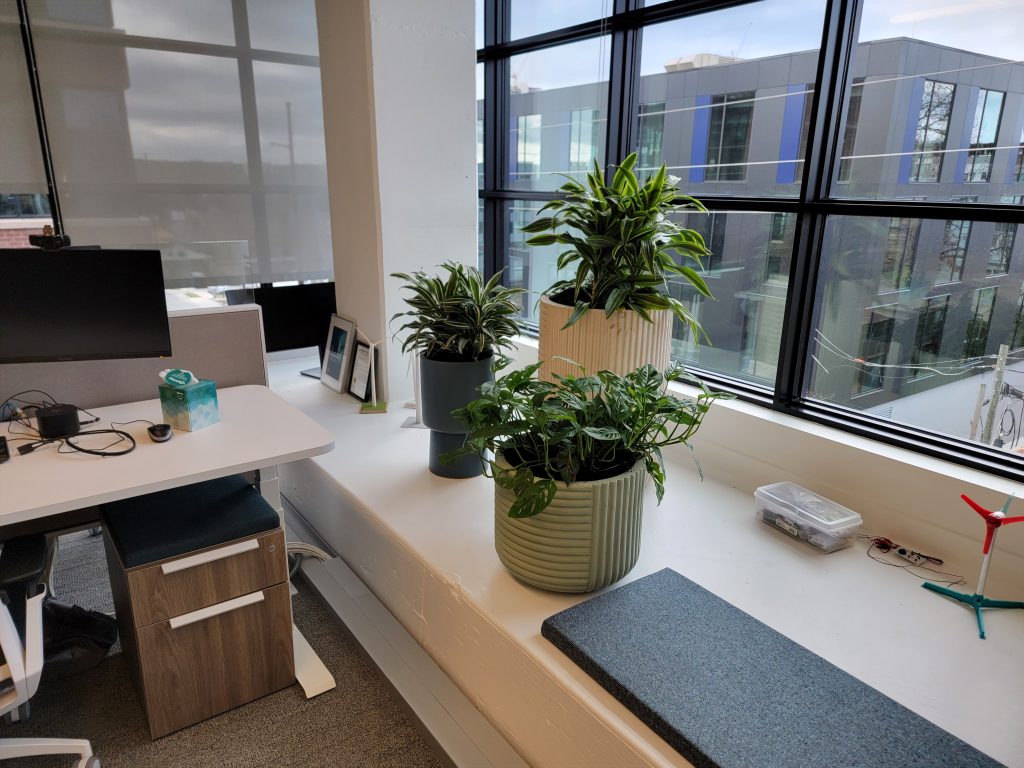RWE table top planters