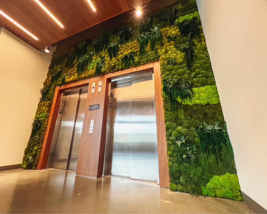 Moss Wall Hero Gallery Green Oasis 244