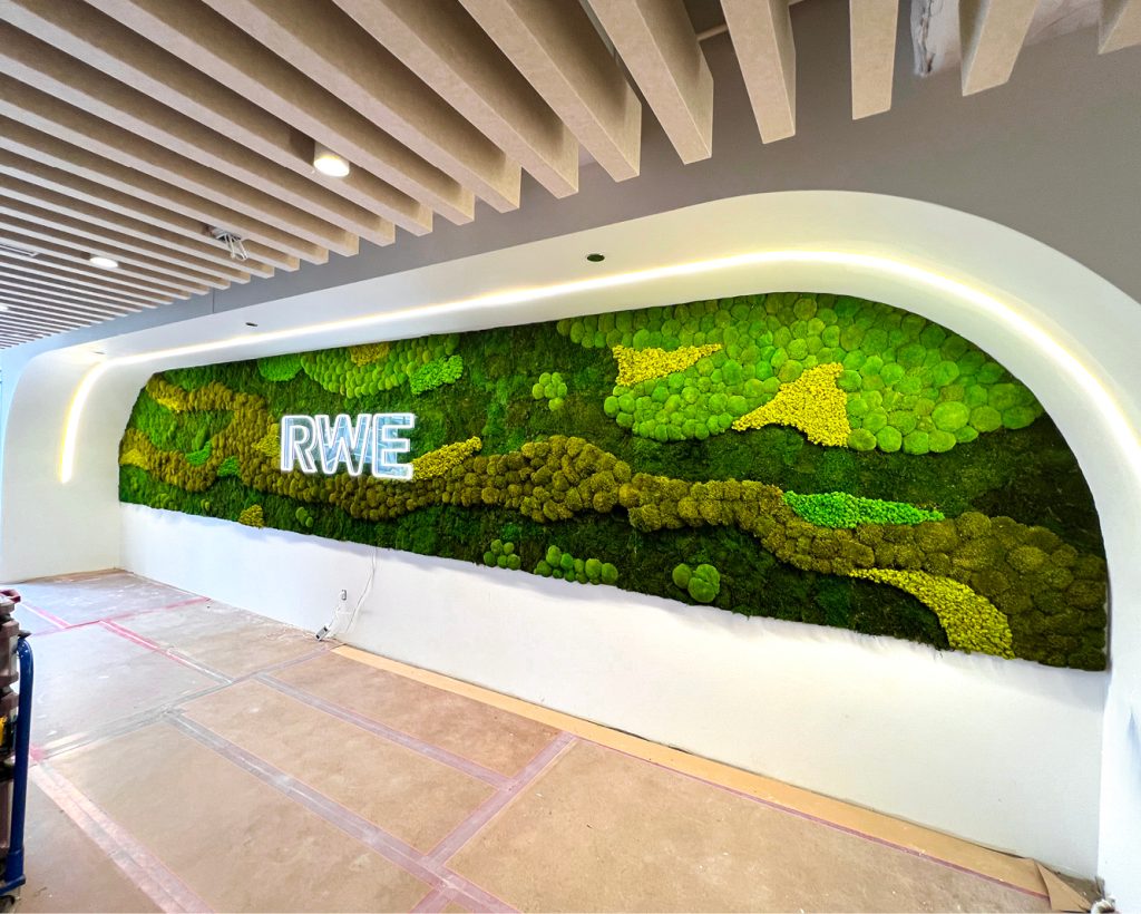 Moss Wall Hero Gallery Green Oasis 246