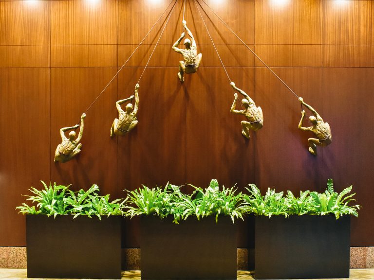 Interior Plant Services for the Weston Center.