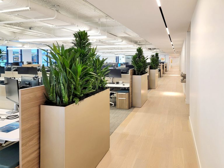 Interior Plant Service for RWE office.