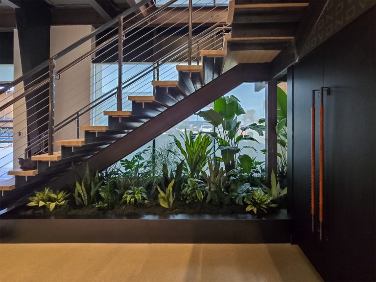 Interior Plant Service for Novo office.