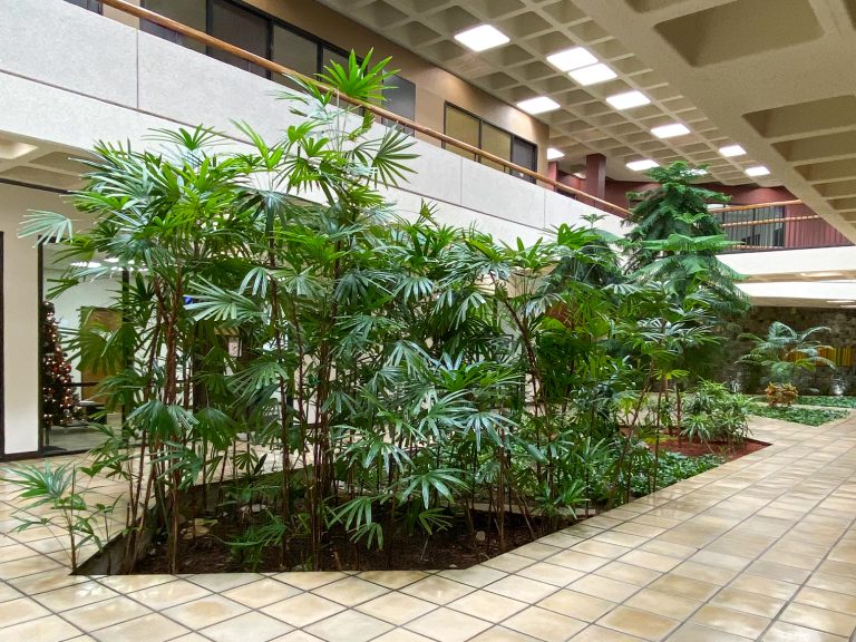Interior Plant Service for Physicians Plaza.