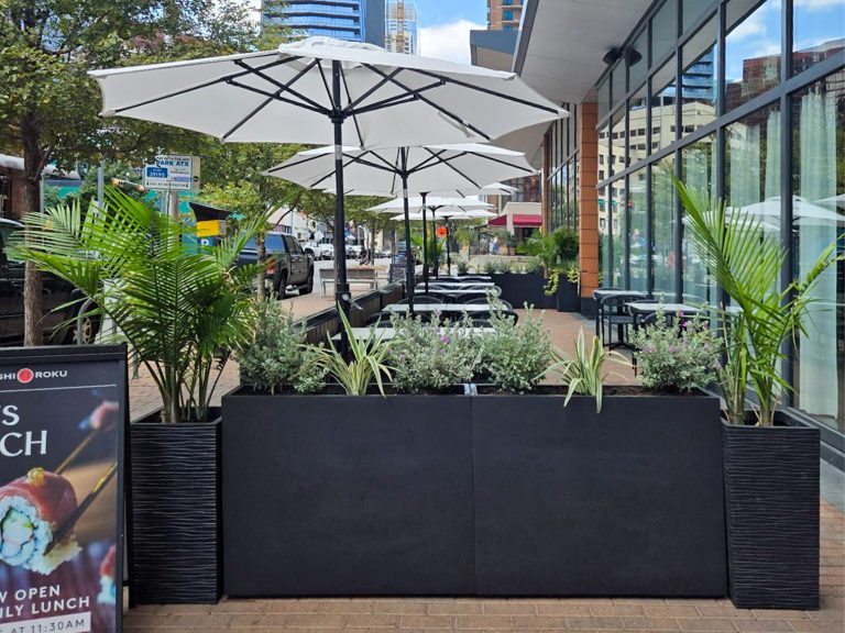 Interior Plant Service for Sushi Roku.