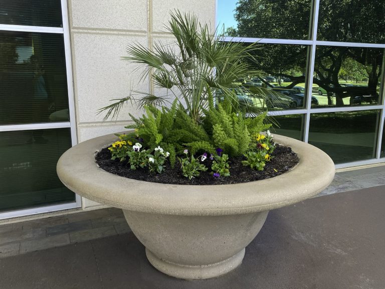 Exterior Plant Services for Twin Oaks Dental Office.