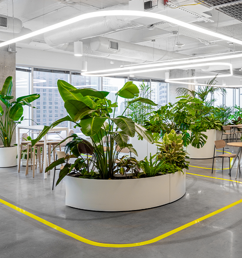 Featured Project 1 Miro