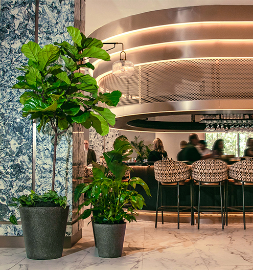 Featured Project 3 Intercontinental Hotel
