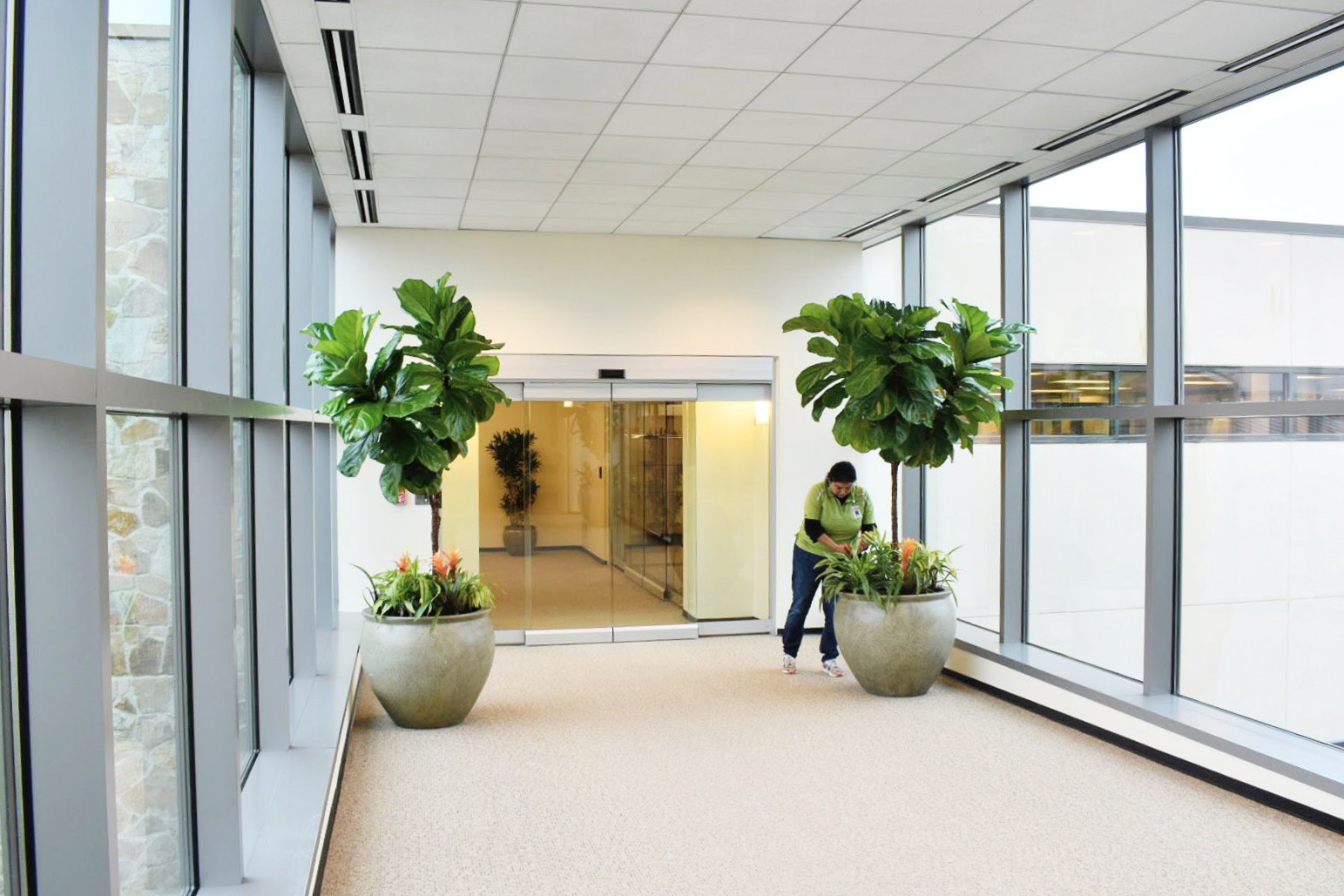 Living Plants, Airport